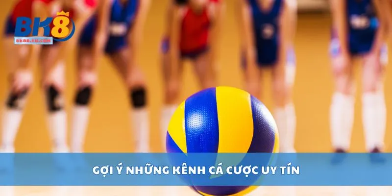Gợi ý những kênh cá cược uy tín