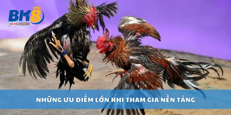 Những ưu điểm lớn khi tham gia nền tảng