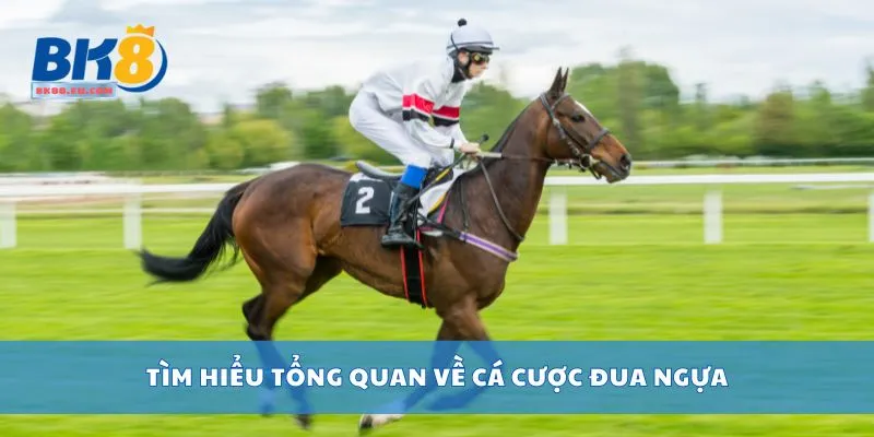 Tìm hiểu tổng quan về cá cược đua ngựa