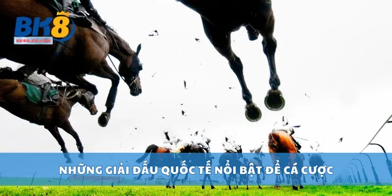 Những giải đấu quốc tế nổi bật để cá cược